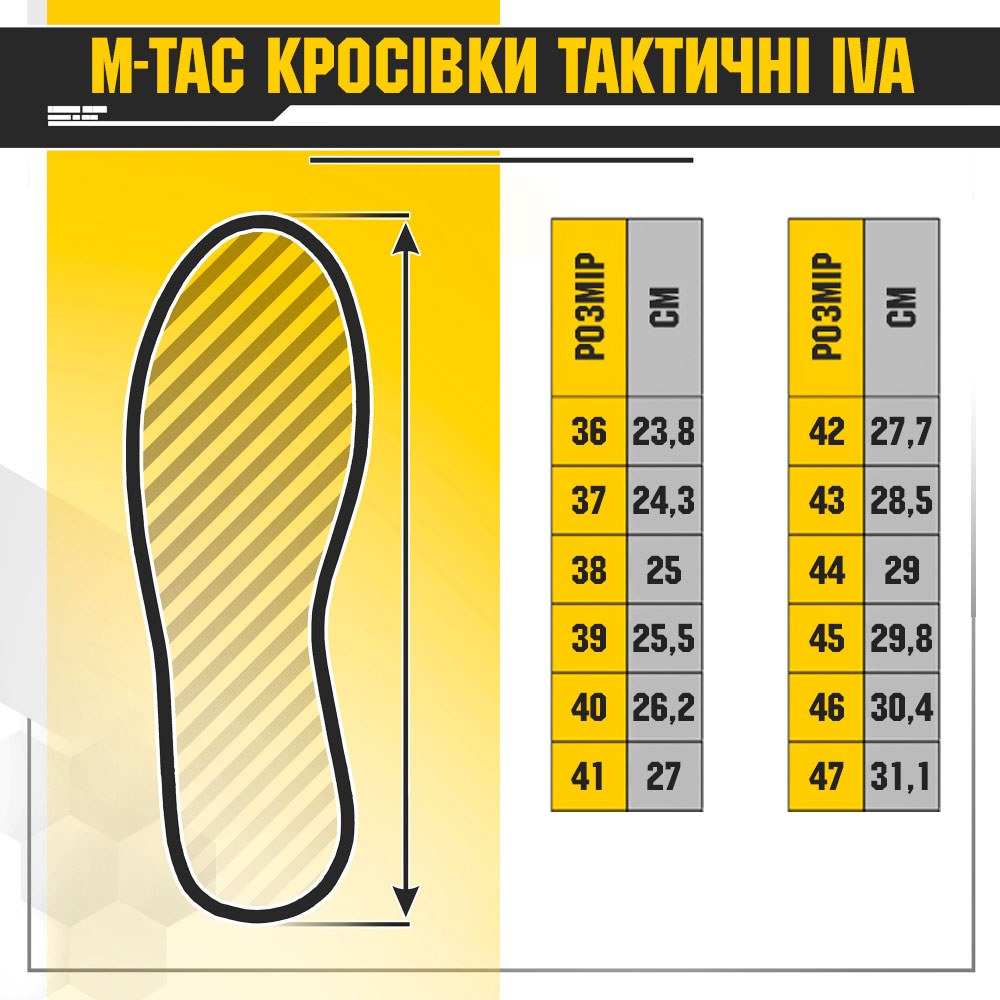 Розмірна сітка